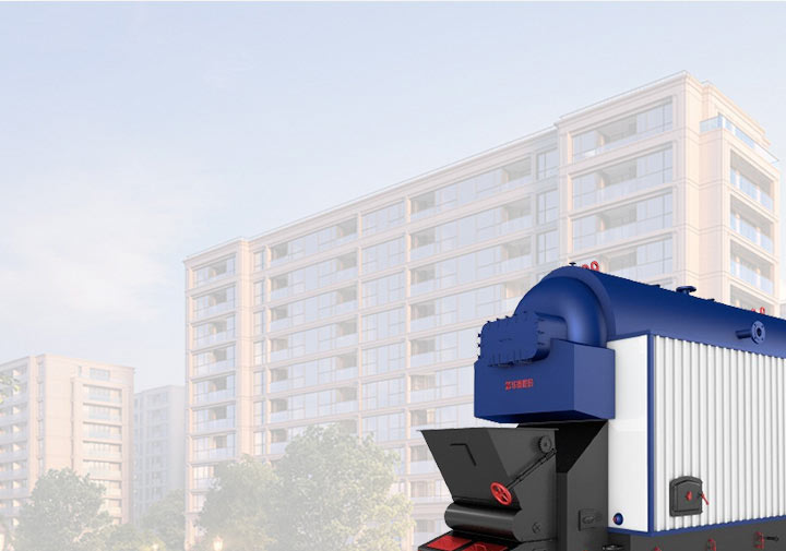 Biomass/Coal Steam Boiler