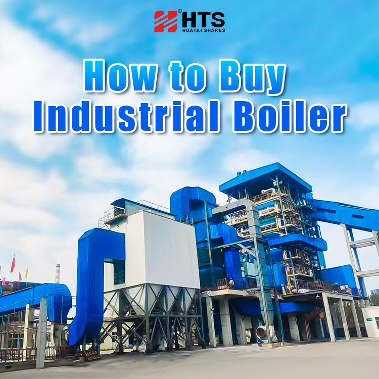 industrial facilitie picture and how to buy industrial boiler